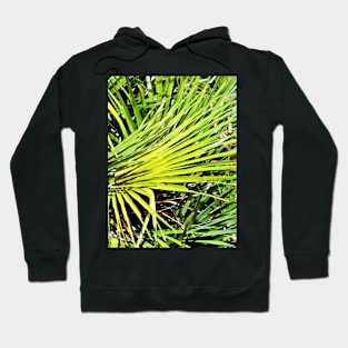 Green Palm Sound Hoodie